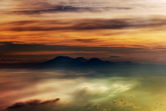 7C0A9599A3 logo (Large).jpg