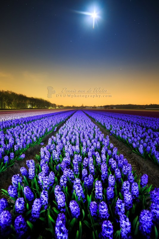 7C0A8890A2 LOGO (Large).jpg