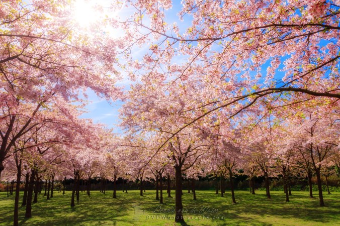 IMG_4936A4 LOGO (Large).jpg