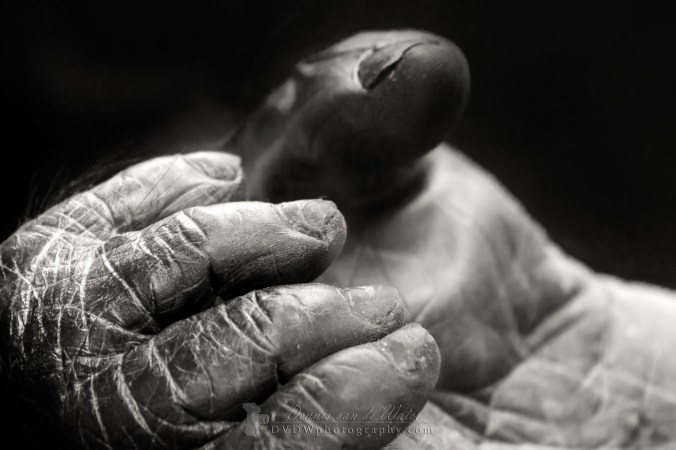 img_1204a-bw-logo-large