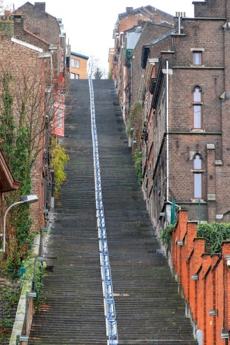 IMG_3679A mensweg (Large).jpg