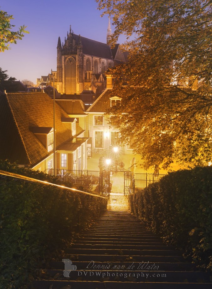 7C0A2729_30A crop NAAM (Groot)