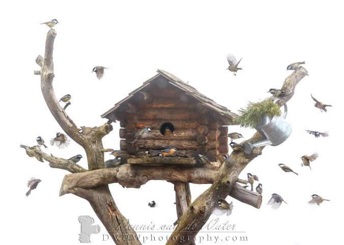 7c0a3780_3894acombilogo28groot29