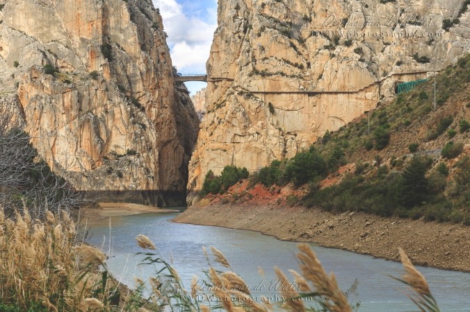 7C0A1947A logo (Groot)