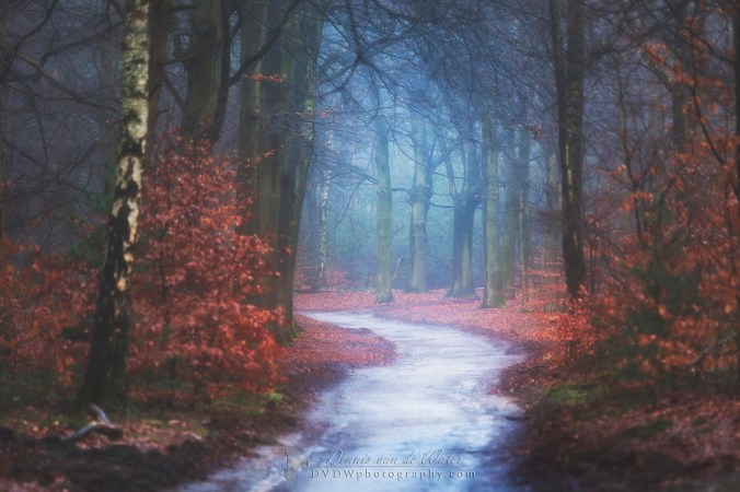 7C0A6556A2 NAAM (Groot)